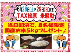 ϥ顼 ǡϥ֥åɡ꡼ʥӡ󥻥£襪ǥ 0703373A30250411W003 2