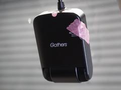 ڥɥ饤֥쥳ΤȤˤäȾڵĤޤ礦ιλפФɥ饤ֱȤƤĤޤ鷺ʤôǺǿǽǤڤˤդ 5