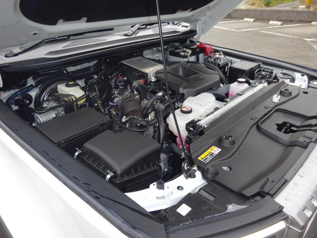 ランドクルーザー250 VX ディーゼルターボ 12.3ディスプレイナビ フロントビューカメラ リアビューカメラ ETC2.0 デジタルインナーミラー サンルーフ クルーズコントロール(33枚目)