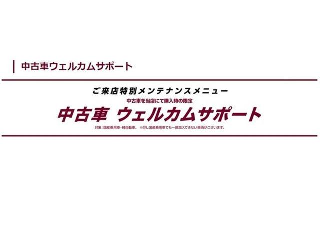 プリウスＰＨＶ Ａプレミアム　革シート　フルセグ　メモリーナビ　バックカメラ　衝突被害軽減システム　ＥＴＣ　ＬＥＤヘッドランプ　シートヒーター　ステアリングヒーター　ブラインドスポットモニター（53枚目）