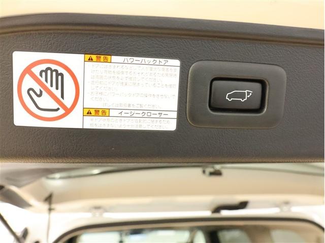 アルファード ２．５Ｓ　Ｃパッケージ　サンルーフ　バックカメラ　衝突被害軽減システム　ＥＴＣ　両側電動スライド　ＬＥＤヘッドランプ　乗車定員７人　３列シート　ブラインドスポットモニター　車線逸脱装置（31枚目）