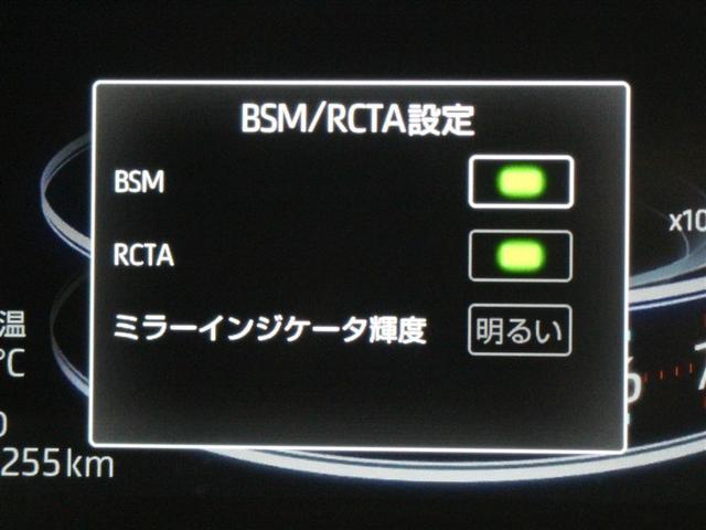 ライズ G フルセグ ミュージックプレイヤー接続可 バックカメラ 衝突被害軽減システム ETC ドラレコ LEDヘッドランプ ワンオーナー アイドリングストップ(18枚目)