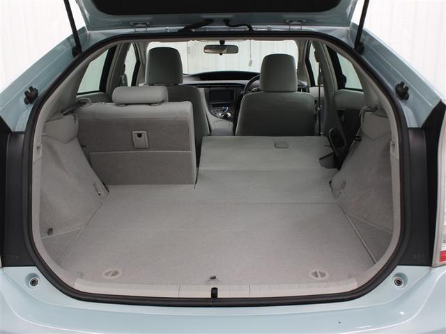 �|���V�[�g�ł��B