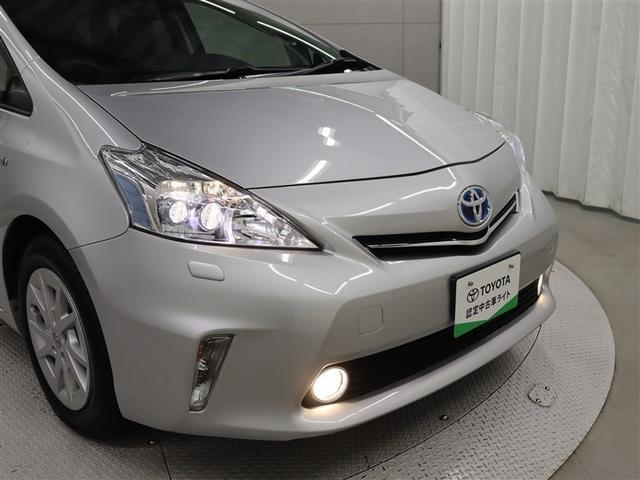 �t�����g���ł��B