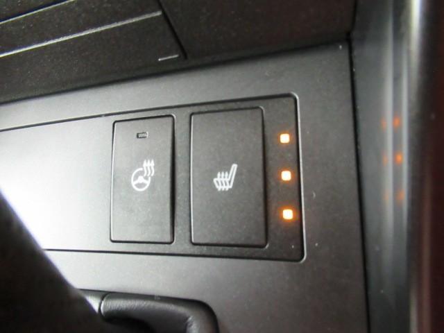 IS IS300h Fスポーツ Bモニ 地デジTV ナビTV オートエアコン スマートキー&プッシュスタート キーフリー パワーステアリング メモリナビ 横滑り防止機能 エアバッグ ABS 盗難防止装置 LEDヘッドライト Pシート(21枚目)