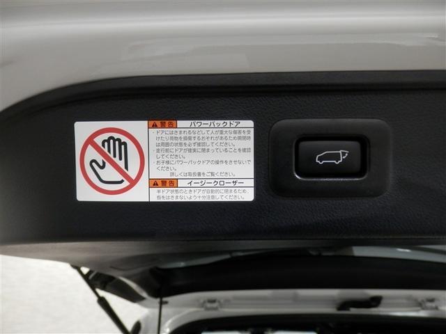 アルファード 2.5S タイプゴールドII LEDランプ Bカメラ スマートキ フルセグTV 盗難防止システム ダブルエアコン 助手席エアバッグ ETC オートクルーズ 3列シート メモリーナビ エアバッグ 横滑り防止機能 ABS ナビ&TV(30枚目)