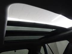 ң֣ ɥ٥㡼䥫顡ߡ롼áʥӥƥ 0703466A20251013T004 6