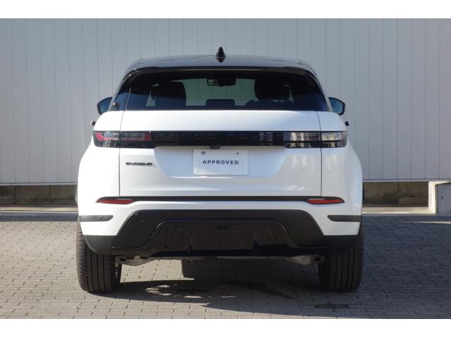 ���A�f�U�C���͎��F�������߂邾���łȂ��A�����h���[�o�[�̌��I�ȊO�ς��������Ă��܂��B�܂��A��ԂɎԗ����������猩�Ă��A�����Ƀ����h���[�o�[���ƔF���ł��鎋�o�I�ȓ����ł��B