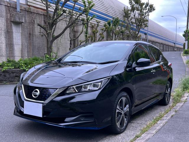 リーフ ｅ＋　Ｘ　禁煙車プロパイロット＋ＢＳＷ＋ＲＣＴＡ＋ＬＩ＋電動パーキングブレーキ＋ステアリングスイッチ寒冷地仕様＋後席ヒーター＆吹出口＋ヒーターミラー＋不凍液濃度アップ・１７インチアルミホイール（15枚目）