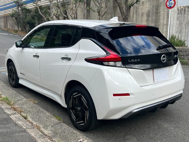 NISSAN LEAF e+ X