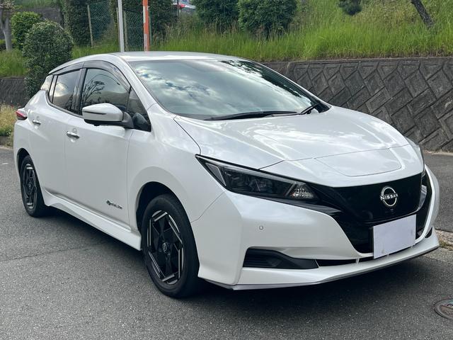 NISSAN LEAF e+ X