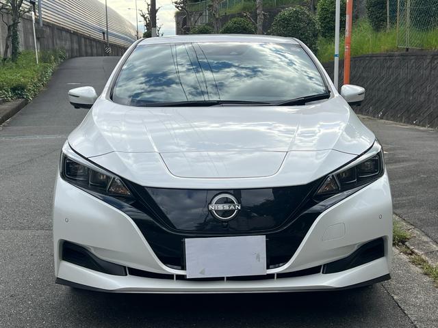 NISSAN LEAF e+ X