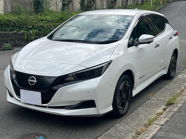 NISSAN LEAF e+ X