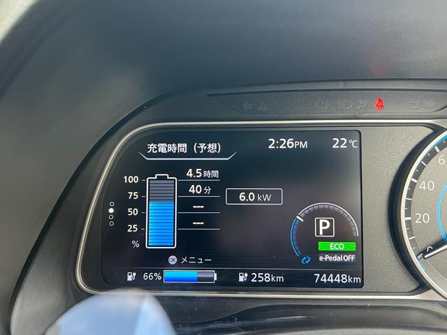 NISSAN LEAF e+ X