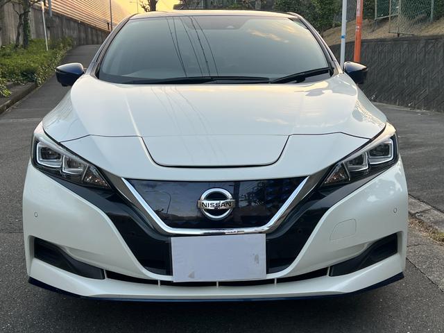 リーフ ｅ＋　Ｘ　プロパイロット＋ＢＳＷ＋ＢＳＩ＋ＲＣＴＡ＋ＬＩ＋ＤＡ＋アラモニ＋ミラー＋スイッチ＋Ｐブレーキ寒地仕様＋後席ヒータ後席吹出口＋ヒーターミラー（13枚目）