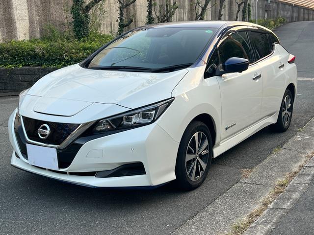 リーフ ｅ＋　Ｘ　プロパイロット＋ＢＳＷ＋ＢＳＩ＋ＲＣＴＡ＋ＬＩ＋ＤＡ＋アラモニ＋ミラー＋スイッチ＋Ｐブレーキ寒地仕様＋後席ヒータ後席吹出口＋ヒーターミラー（15枚目）