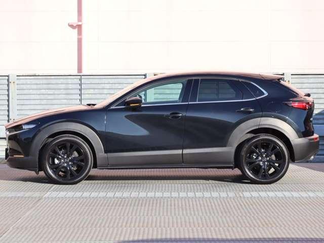 CX-30 2.0 20S ブラックトーンエディション マツダ認定中古車 コネクティッドサービス(18枚目)