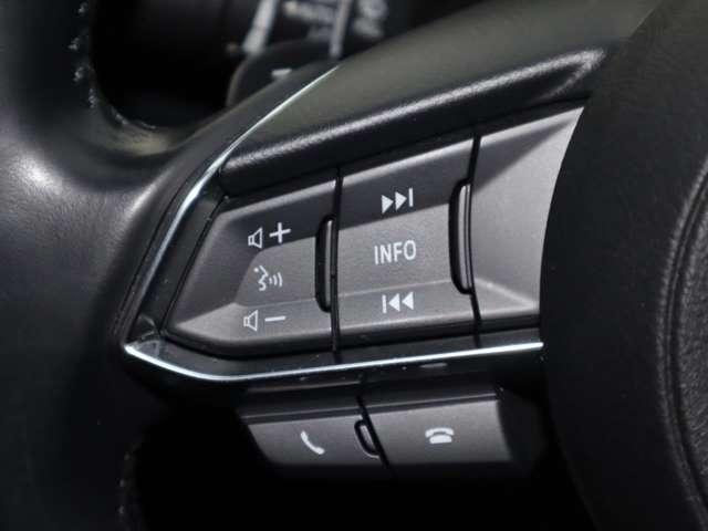 アテンザセダン ２．０　２０Ｓ　プロアクティブ　衝突被害軽減ブレーキ　バックカメラ　レーダ（11枚目）