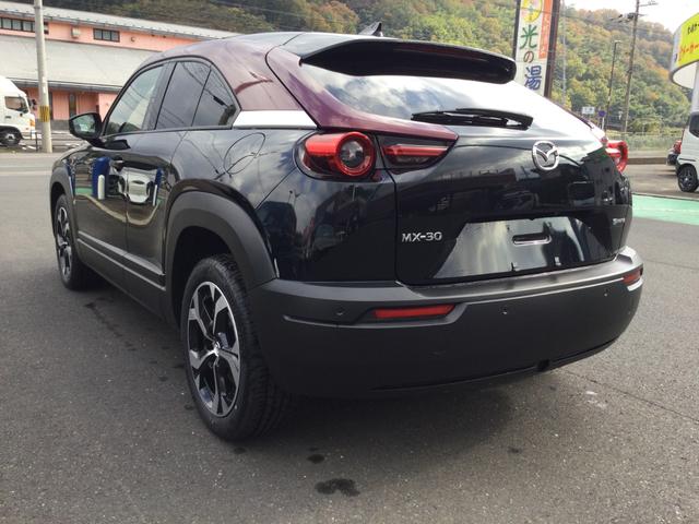 ＭＸ－３０ロータリーＥＶ エディションＲ（7枚目）