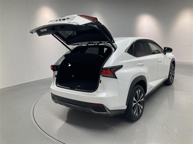 ＮＸ ＮＸ３００ｈ　Ｆスポーツ　革シート　サンルーフ　４ＷＤ　フルセグ　メモリーナビ　ＤＶＤ再生　ミュージックプレイヤー接続可　バックカメラ　衝突被害軽減システム　ＥＴＣ　ドラレコ　ＬＥＤヘッドランプ　ワンオーナー（9枚目）