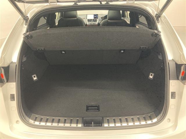 ＮＸ ＮＸ３００ｈ　Ｆスポーツ　革シート　サンルーフ　４ＷＤ　フルセグ　メモリーナビ　ＤＶＤ再生　ミュージックプレイヤー接続可　バックカメラ　衝突被害軽減システム　ＥＴＣ　ドラレコ　ＬＥＤヘッドランプ　ワンオーナー（10枚目）