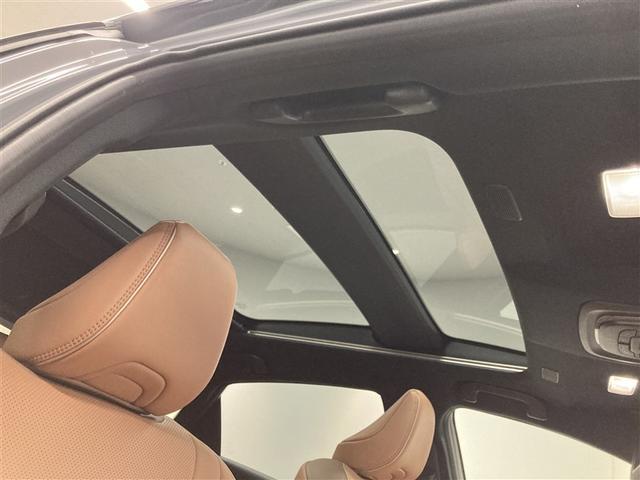 �p�m���}���[�t���J���Ǝ����Ɍ����������݁A���J���I�Ȉ�ۂɁ��Ȃ���A����삯��悤�Ȍi�F�������点�܂��B