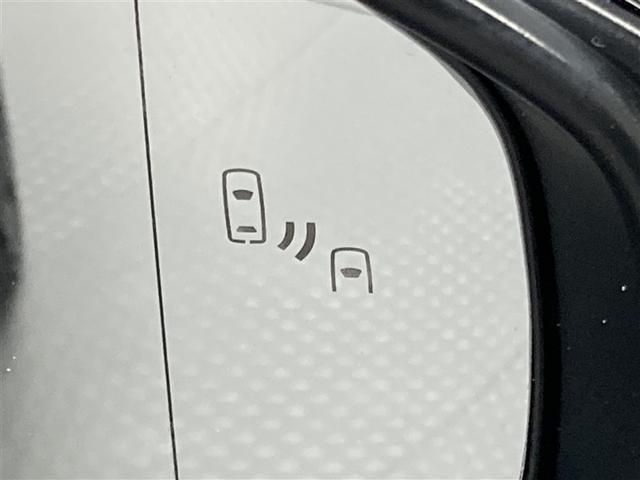 �u���C���h�X�|�b�g���j�^�[�i�a�r�l�j�𑕔����Ă��܂��B�ׂ𑖂�ԗ������p�ɓ���ƃ~���[���k�d�c�C���W�P�[�^�[���_���B����ɁA�E�B���J�[���o���ƃC���W�P�[�^�[�������ē_�ł��Ē��ӂ𑣂��Ă���܂��B