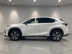 Σ Σأ衡ƥݡġץȡ롼աף 0703644A20251029T001 7