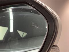 �áݣȣ� �ǡ��ץ����ȡ��ե륻�������꡼�ʥӡ��ģ֣ĺ��� 0703644A20251205T007 6