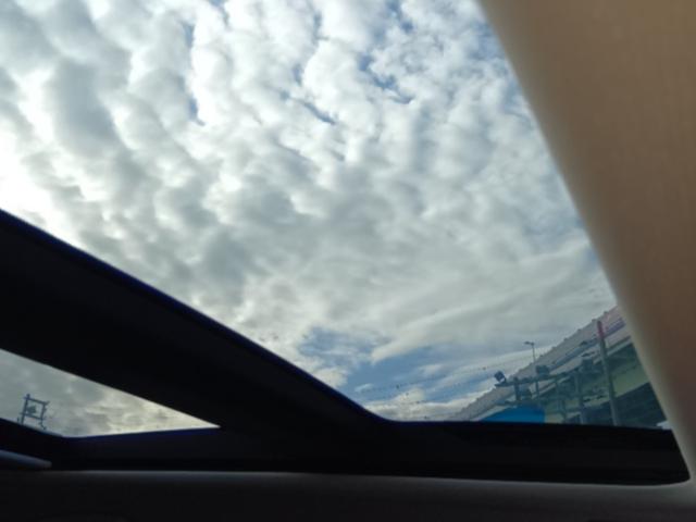 �����̓d���V�F�[�h���J����΁A������̂��鎺�����E�E�E