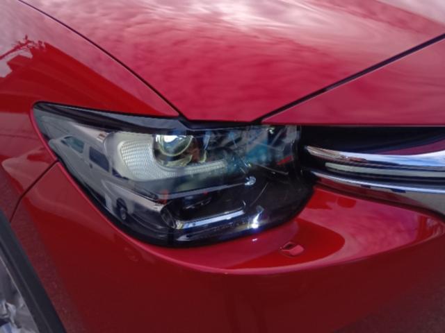 �S�v�c�ɂ́A�w�b�h�����v�E�H�b�V���[����������Ă��܂�