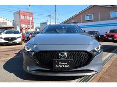 ������������϶����ǥ������륨�󥸥����ܤ������͵��Σأġ��̡��У�����夬���٤��ޤ����� 2