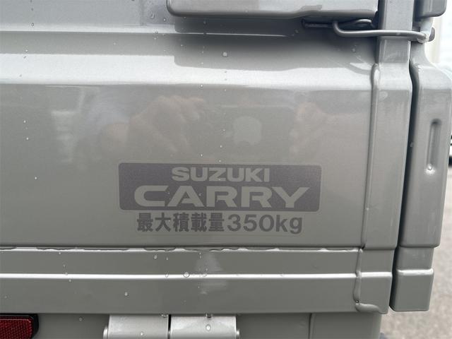 スーパーキャリイ Ｘリミテッド　４ＷＤ　衝突被害軽減ブレーキ　ナビ　ワンオーナー　ＬＥＤヘッドライト　フォグランプ　社外バンパーガード　アルミホイール　社外マフラー　キーレスエントリー　５ＭＴ（53枚目）
