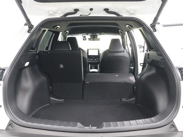 �t�����g���ł��B