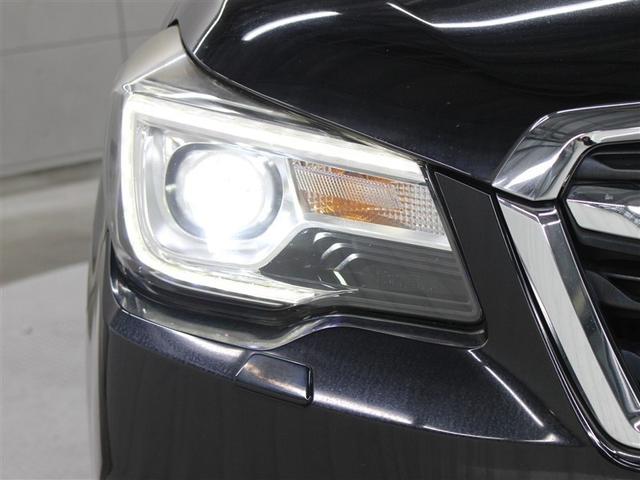 �t�����g���ł��B