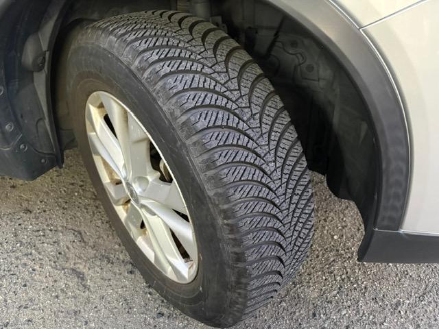 �������[�i�r�E�d�s�b�݌ɂ���܂��I���D���Ȃ��̂Ɋi���ŕt���ւ��n�j�I�������݂̃i�r�̎�t���A���C�y�ɂ����k��������