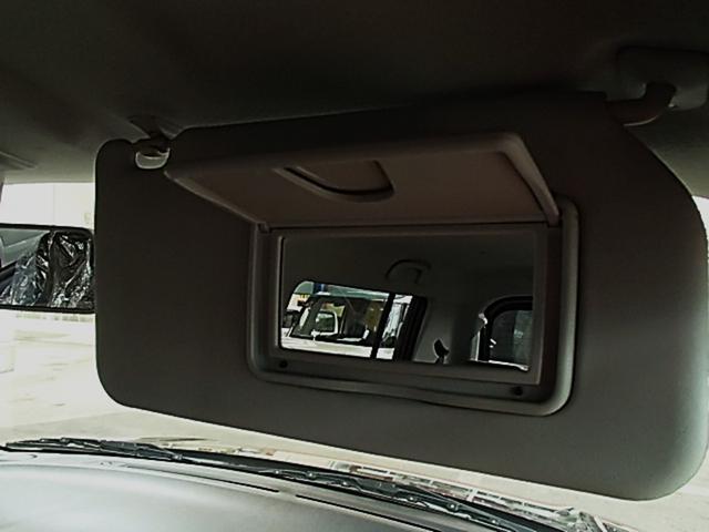 �����ɂ��ꂵ���o�j�e�B�~���[�t����