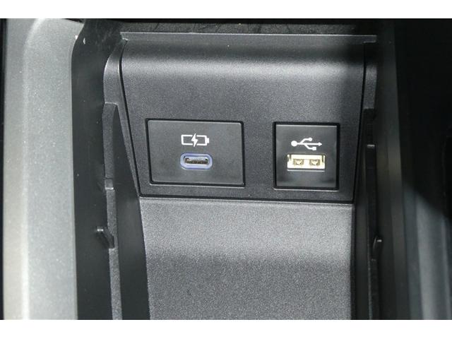 ���f�B�A�v���C���[�ڑ��[�q�E�t�r�a�^�C�v�b�[�d�[�q�ł��B