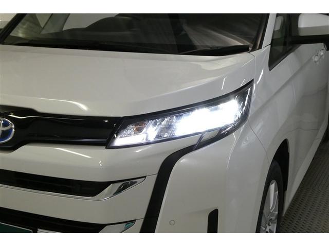 �y�k�d�c�w�b�h���C�g�z�����Ƃ炳���̂������ł��B���邢�����łȂ��A���͂���̔F�m����₷�����s�҂⎀�p�ɂ�����փA�s�[�����ʁA���S��������I�Ɍ��サ�܂��I