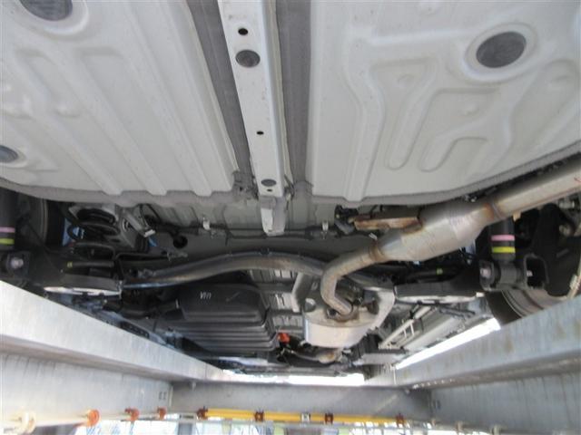 �K�╅�H���Ȃ����ꂢ�ȏ�Ԃł��B�܂��܂����S���Ă���肢�������܂��B