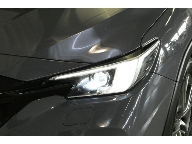 �y�k�d�c�w�b�h���C�g�z�����Ƃ炳���̂������ł��B���邢�����łȂ��A���͂���̔F�m����₷�����s�҂⎀�p�ɂ�����փA�s�[�����ʁA���S��������I�Ɍ��サ�܂��I