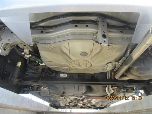 �{�f�B�����̏�Ԃł��B