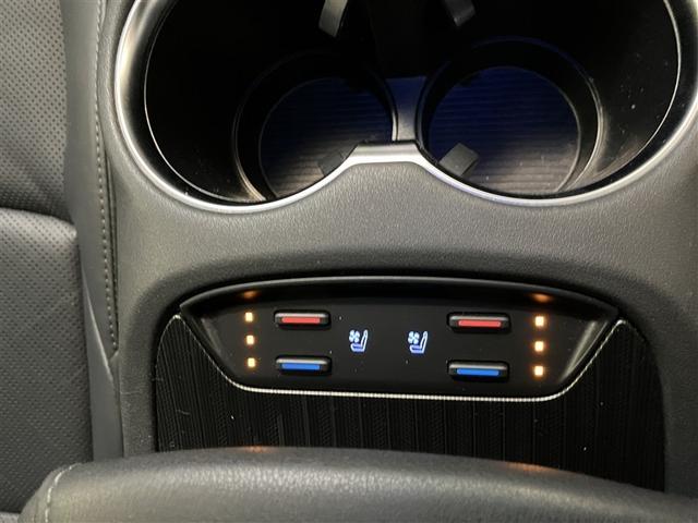 ハリアー Ｚ　レザーパッケージ　パノラマガラスルーフ　地上デジタル　盗難防止装置　革Ｓ　パワ－シ－ト　横滑り防止機能　ＡＵＸ　ドラレコ付　エアバッグ　Ｂモニター　アルミ　クルコン　ＬＥＤ付　ＡＢＳ　パワーウィンドウ　エアコン　テレビ（29枚目）