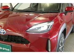 �̣ţĥإåɥ饤�ȤǤ����ǥ����������褯�ȤƤ����뤤�Τǡ���֤����Ԥ䰭ŷ���Ǥ�¿��Ǥ���������Ĺ��̿�� 6