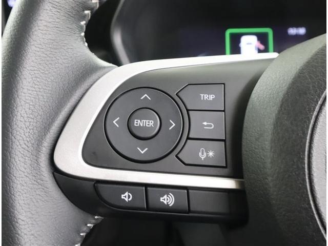 ライズ Ｚ　フルセグ　メモリーナビ　ＤＶＤ再生　ミュージックプレイヤー接続可　バックカメラ　衝突被害軽減システム　ＥＴＣ　ＬＥＤヘッドランプ　ワンオーナー　記録簿　アイドリングストップ（19枚目）