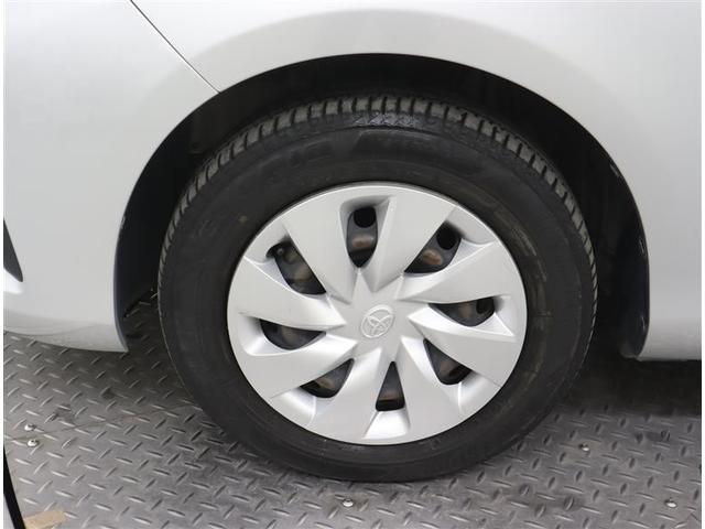 �g���^���r���e�B�V���i���j�̓W���Ԃ͂��̂قƂ�ǂ��V�ԁA�t�|�������̔��̂��q�l����̉����ԂŒ��ɂ͓W���Ԃ⎎��ԂȂǂ��������܂��B