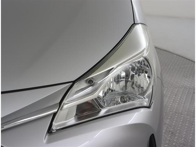 �g���^���r���e�B�V���i���j�̓W���Ԃ͂��̂قƂ�ǂ��V�ԁA�t�|�������̔��̂��q�l����̉����ԂŒ��ɂ͓W���Ԃ⎎��ԂȂǂ��������܂��B