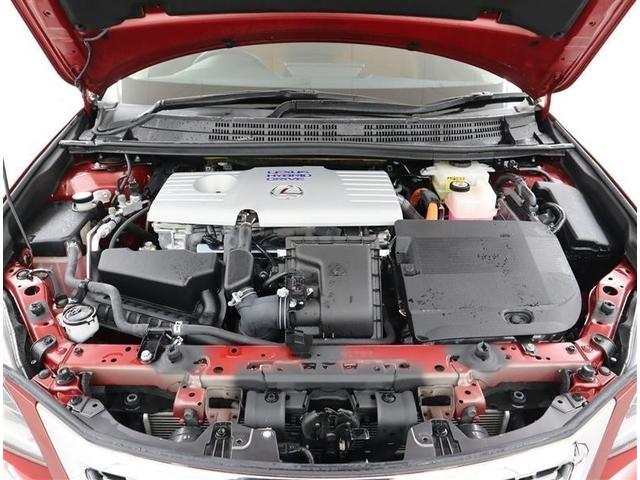 �����Ïl���ƃX���[�Y�ȃn�C�u���b�h���s��̊����������B