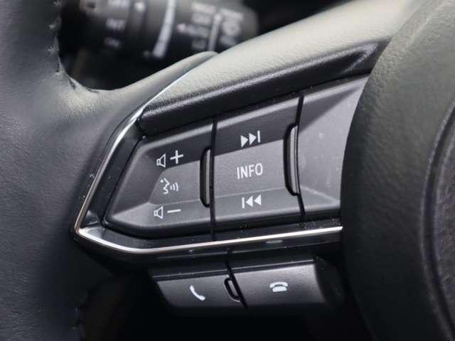 ＭＡＺＤＡ２ １．５　１５Ｓ　プロアクティブ　Ｓパッケージ　マツダ認定中古車　ＥＴＣ車載器衝突被害軽減ブ（10枚目）