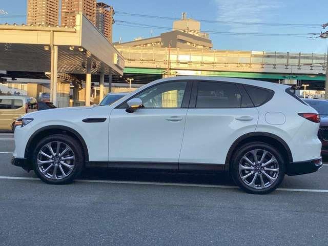 �����A���~�őS�̓I�Ƀf�U�C�����܂Ƃ܂��Ă��܂��B�Ԃ��l���A�I�V�����͂܂��͑�������ł��ˁB